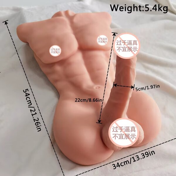 Torso en silicone réaliste