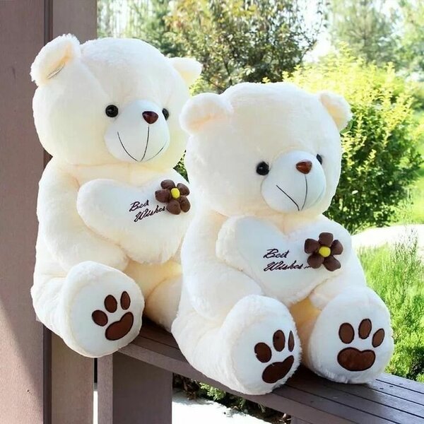 Teddy bear