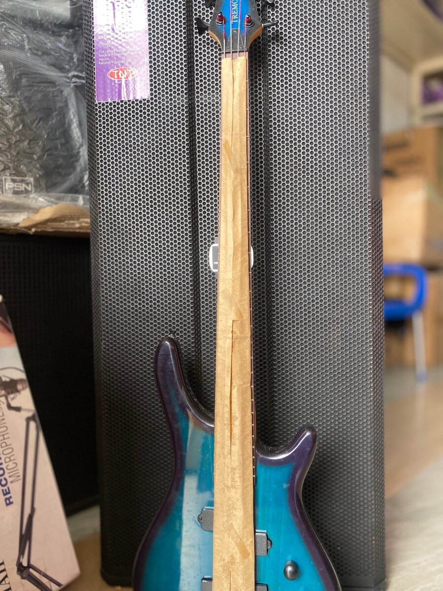 Bass guitar