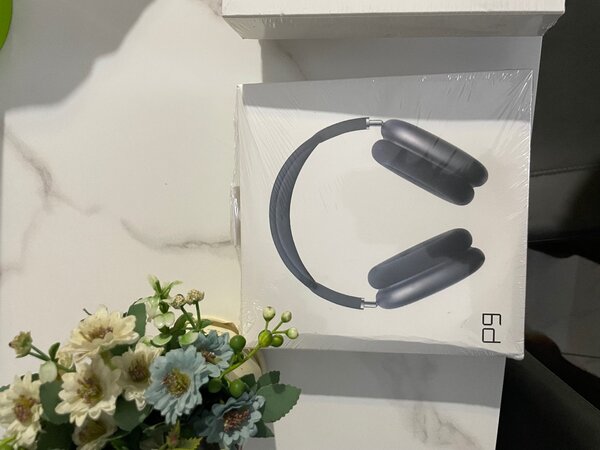 Casque Bluetooth Sans Fil P9