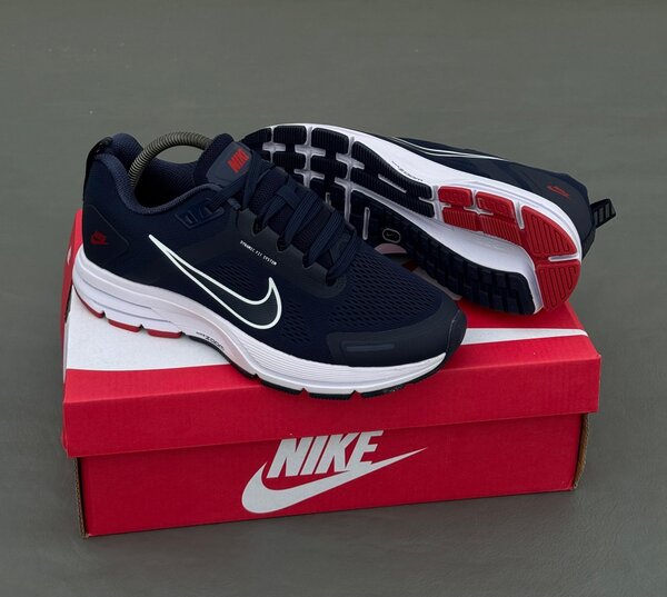 Nike Chaussures de Course Homme