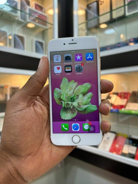 iPhone 6