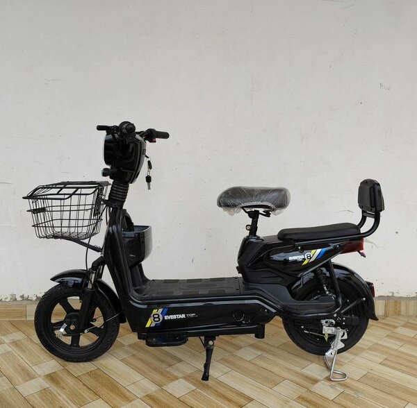 Electric motor bike