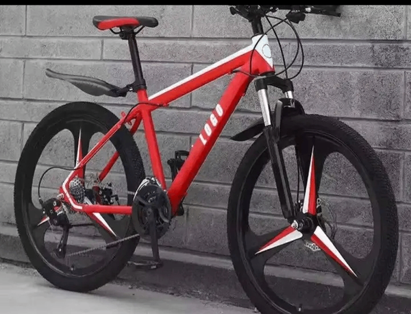 Vélo tout-terrain pliable