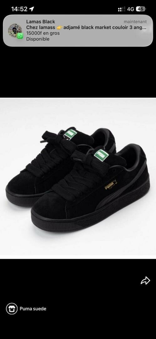 Chaussures puma