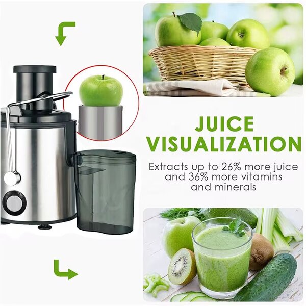 Extracteur de Jus Puissant