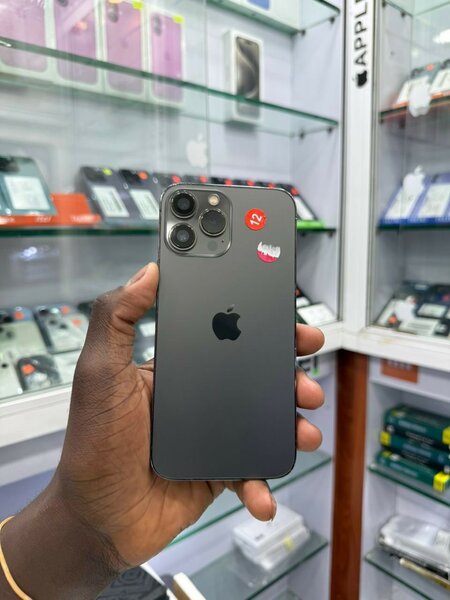 iPhone 13 Pro Max