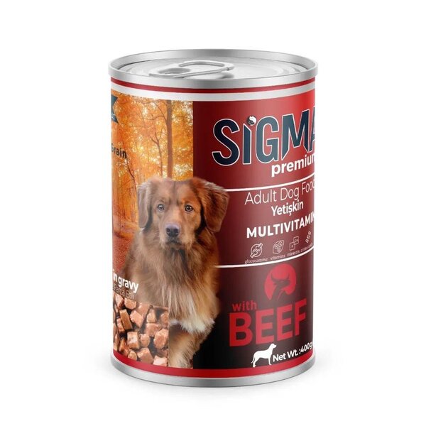 Nourriture pour Chiens Sigma Premium