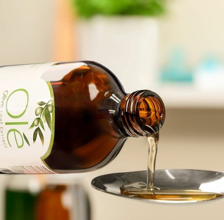 OLIVE LEAF EXTRACT