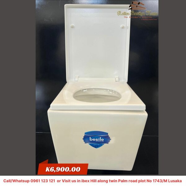 Wall hang toilet