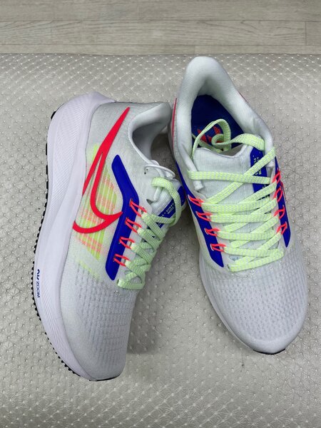 Nike pegasus 39