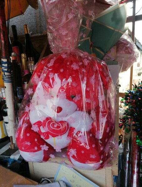 Teddy bear