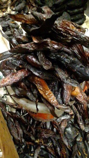 Dry fish