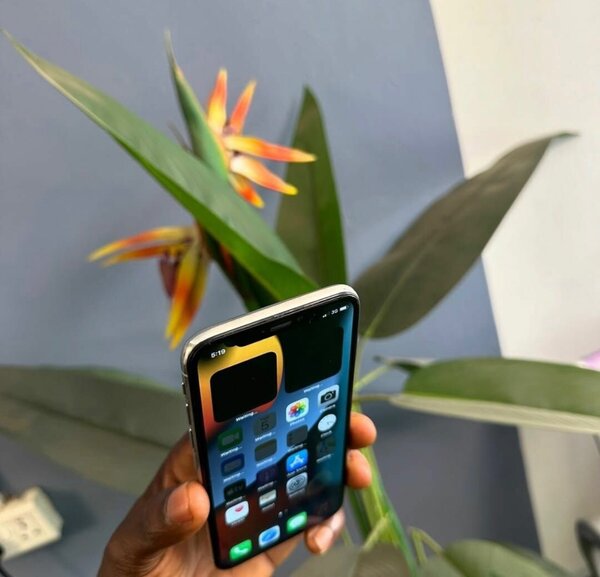 ROGGER IPHONES
