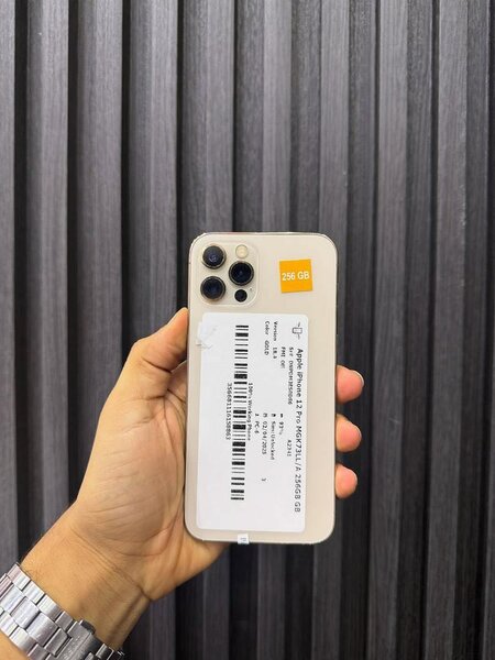 iPhone 12 Pro Max
