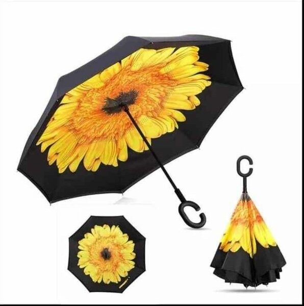 ☔ Parapluie