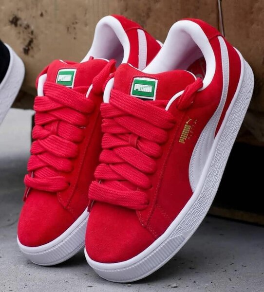 Puma xl