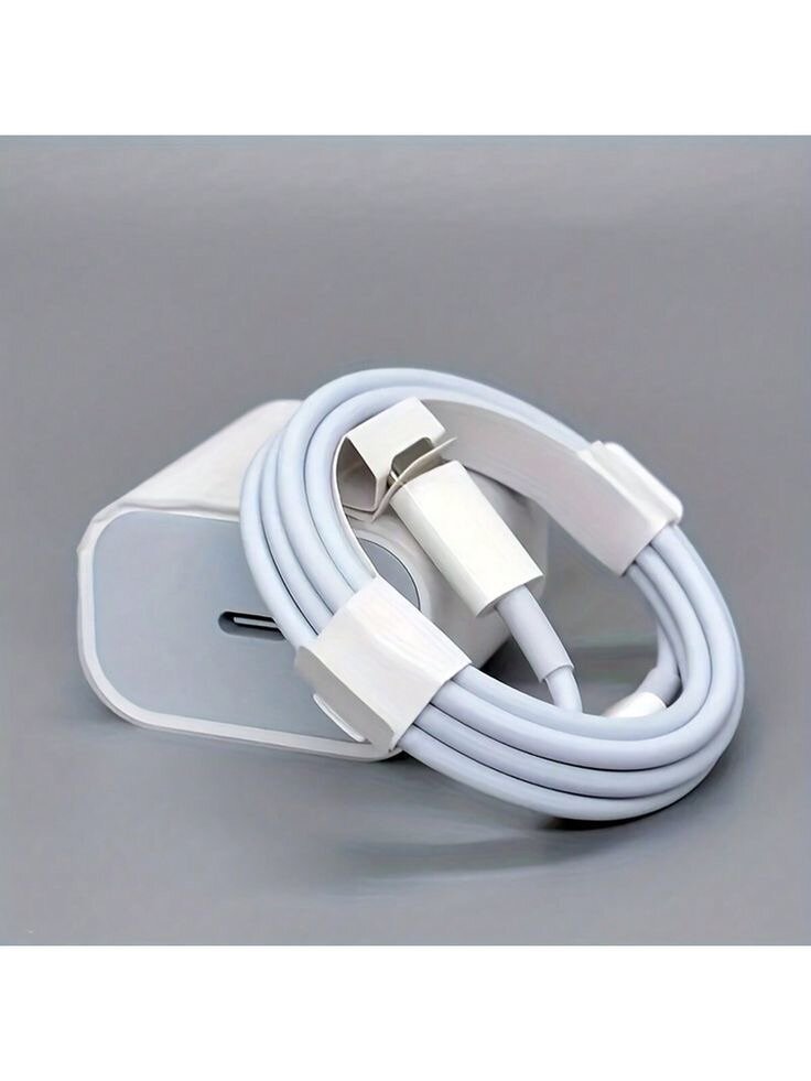 Chargeur iPhone authentique