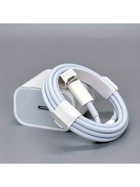 Chargeur iPhone authentique