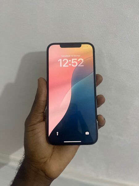 iPhone 12 Pro Max
