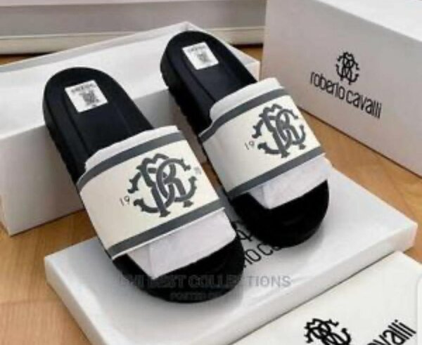 Slides