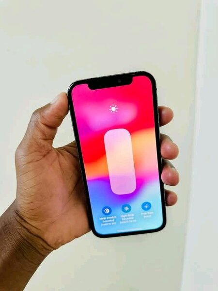 iPhone 12 Pro Max Bleu