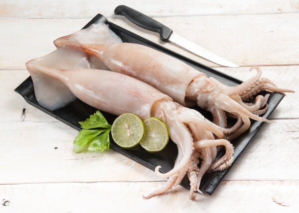 Calamars frais sur plaque