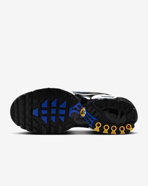 NIKE AIR MAX PLUS TN ( Avec le coffret)