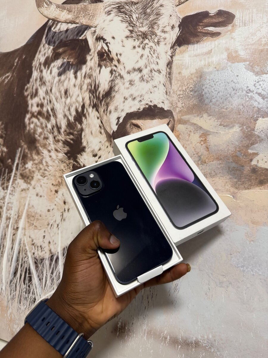 iPhone 14