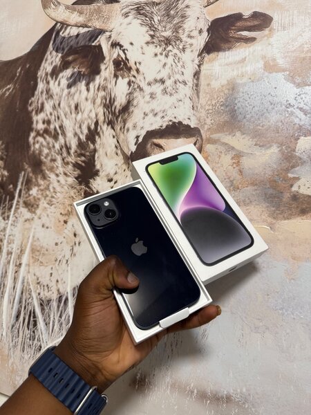 iPhone 14
