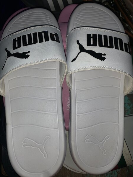 Puma slide