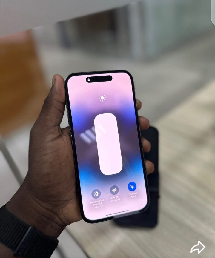 iPhone 14 Pro Max 256 Go