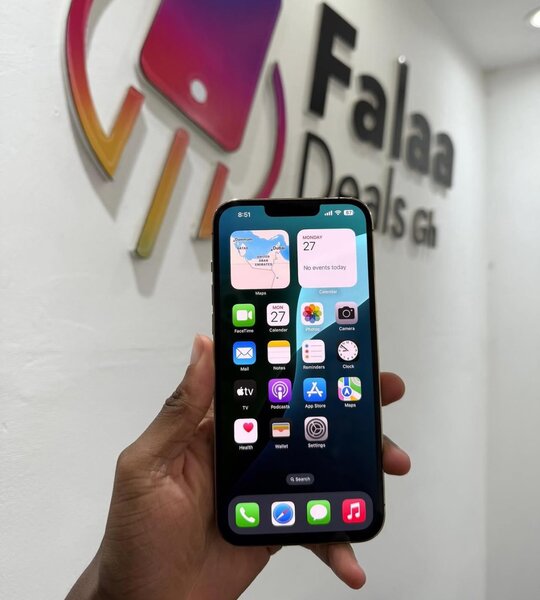 iPhone 13 Pro Max