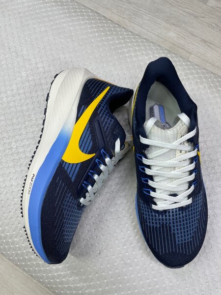 Nike pegasus 39