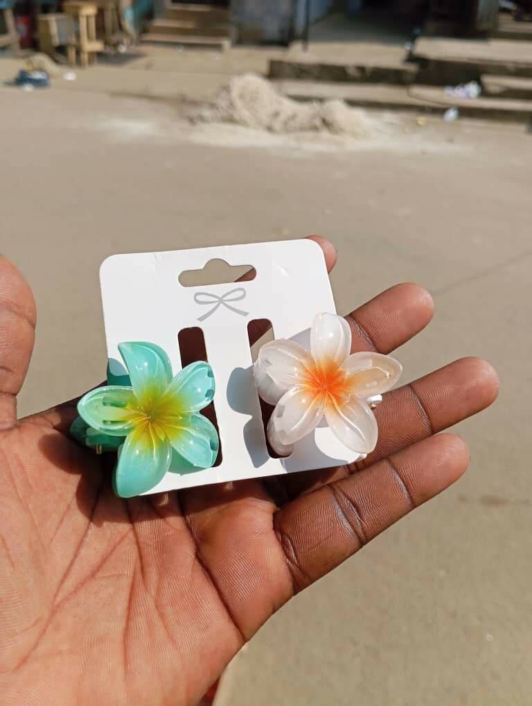 Pince à cheveux