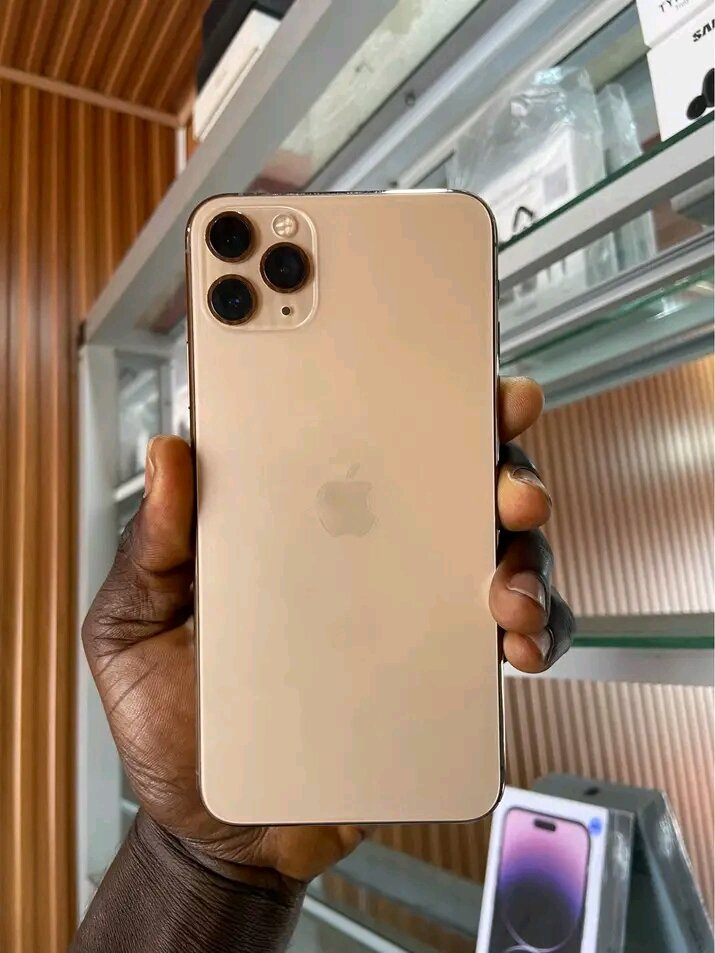 iPhone 12 Pro Max 256 Go Or