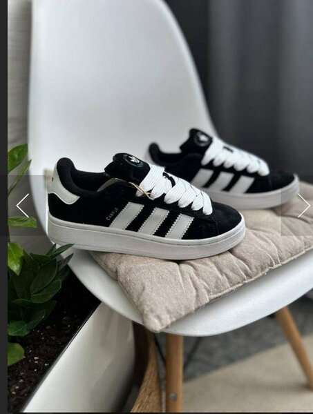 Adidas campus