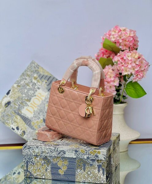 Ladies hand bag