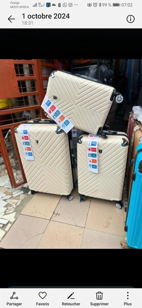 Valise