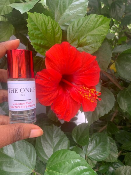 The One essence de parfum