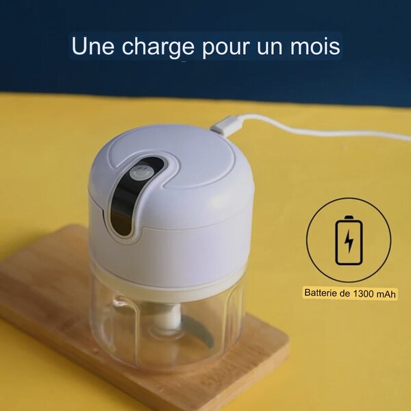 Mini mixeur