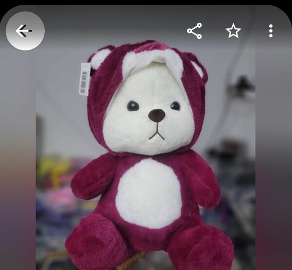 Ours en peluche