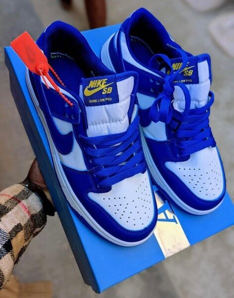 Nikes sb