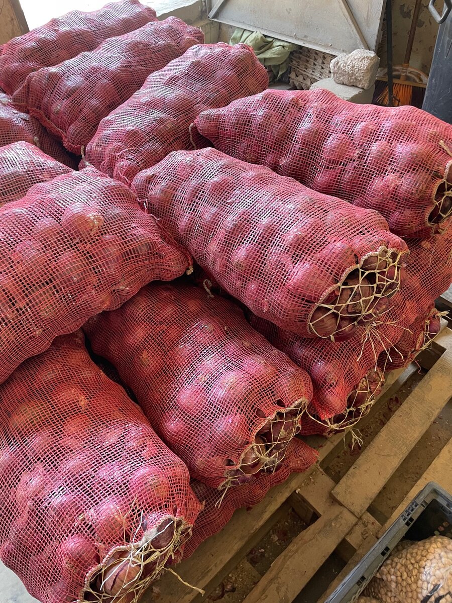 Red Onions
