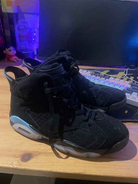 Air Jordan 6