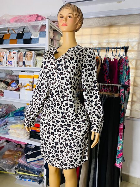 Ladies dress