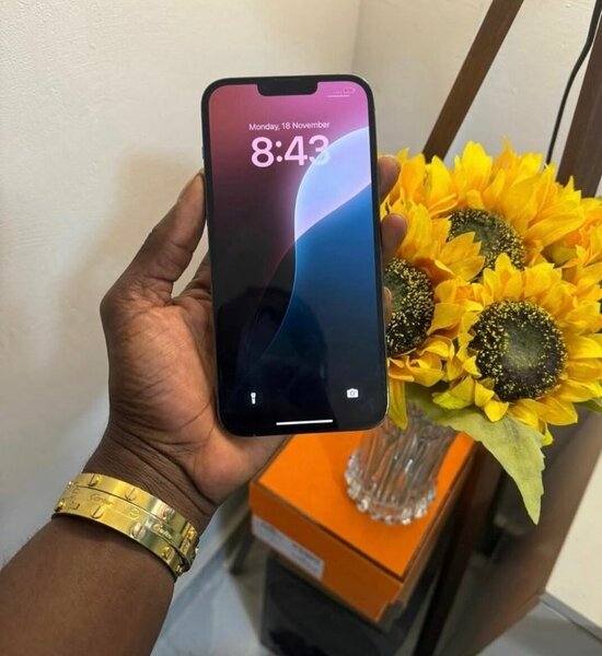iPhone 13 pro max