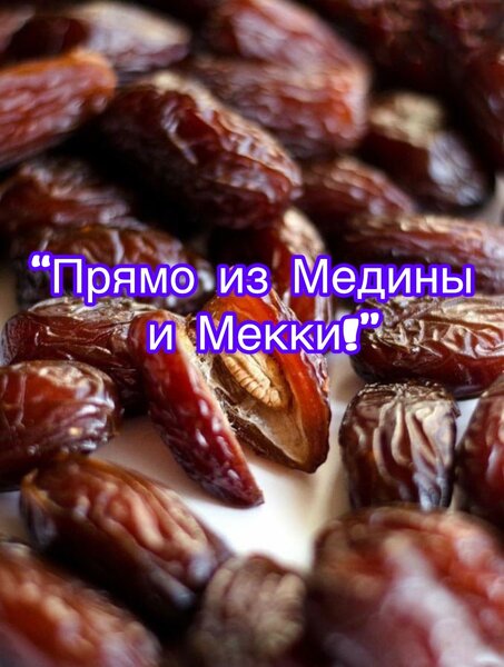 Finiki_n5i