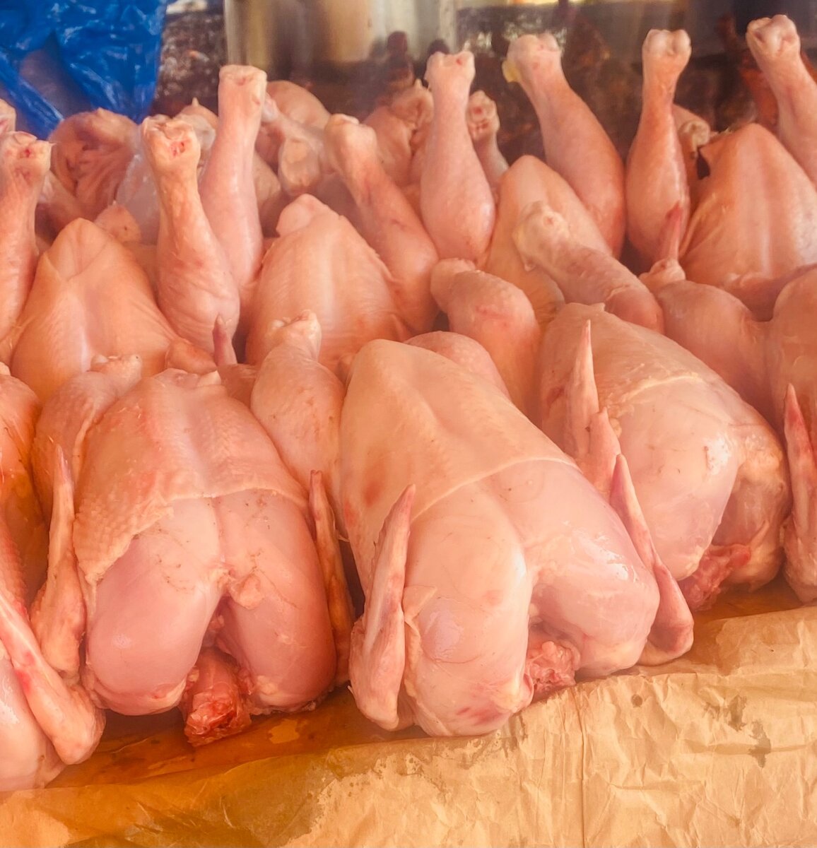Poulet frais