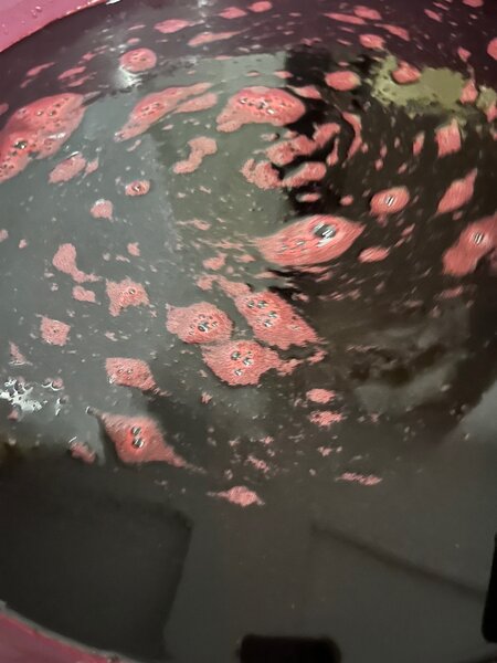 Jus de Bissap 1L